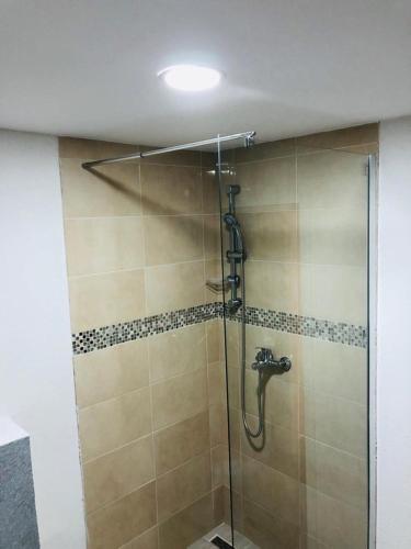 a shower with a glass door in a bathroom at Carla Maria S Hause in Gammertingen