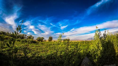 a field of grass with a blue sky and clouds at Sol del Desierto in Chíuchíu