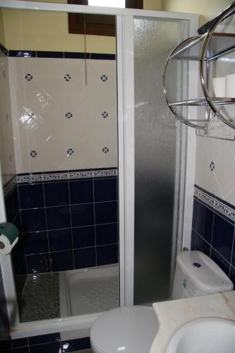 a bathroom with a shower with a toilet and a sink at Apartamentos La Iglesia in Mora de Rubielos