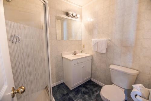 a bathroom with a toilet and a sink and a shower at Caswell Resort in Sundridge