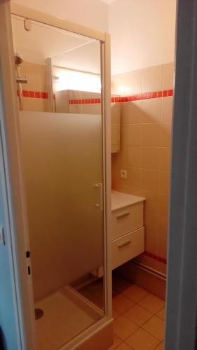 La salle de bains est pourvue d'une douche et d'un miroir. dans l'établissement le studio de la plage, à Trouville-sur-Mer