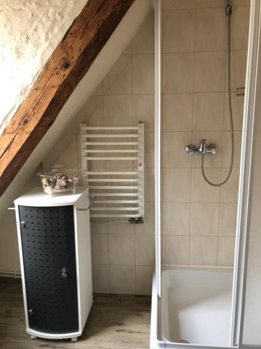 łazienka z prysznicem i wanną w obiekcie Apartament przy Rynku 2 w mieście Połczyn-Zdrój