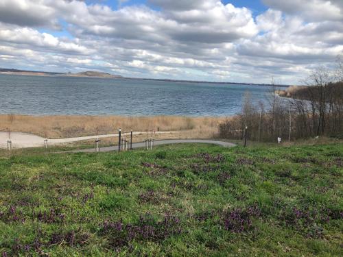 Fotografie z fotogalerie ubytování Asiatisches Landhaus v destinaci Braunsbedra