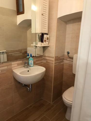a bathroom with a sink and a toilet at Abruzzo Forte e Gentile in Castel di Ieri
