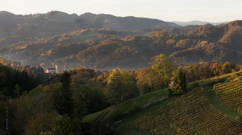 a view of a valley with trees and hills at Ferienwohnung Wruss in Gamlitz