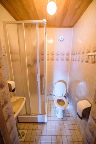 a bathroom with a shower and a toilet and a sink at Holiday Village Kuukiuru in Vuostimo