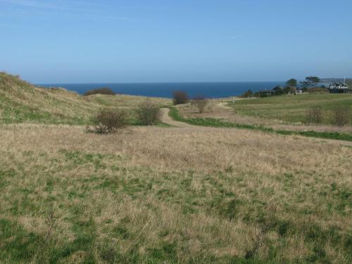 a winding path through a field of grass at Fuglevænget in Hundested