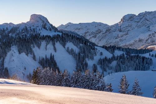 a snow covered mountain range with trees and snow at Schlosspark Grubhof - Mitterer in Sankt Martin bei Lofer