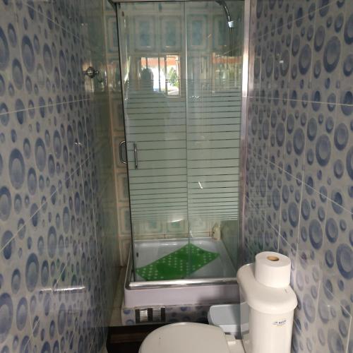 a bathroom with a toilet and a glass shower at Hotel Restaurante Aconcagua in La Ligua