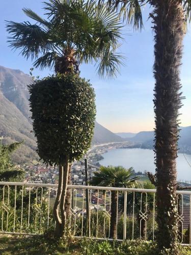two palm trees and a view of the water at Casa Belvedere in Rovio