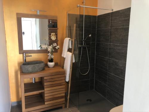 Ванна кімната в Gîte Maracudja vue sur mer