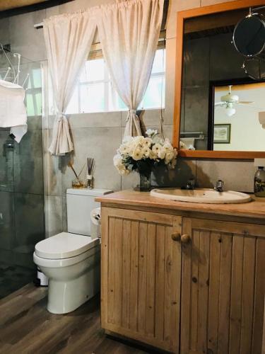 um banheiro com vaso sanitário, pia e espelho em Little Willow Brooke em Franschhoek