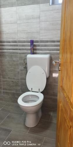 a bathroom with a white toilet in a stall at Kifog-Lak Vendégház in Poroszló