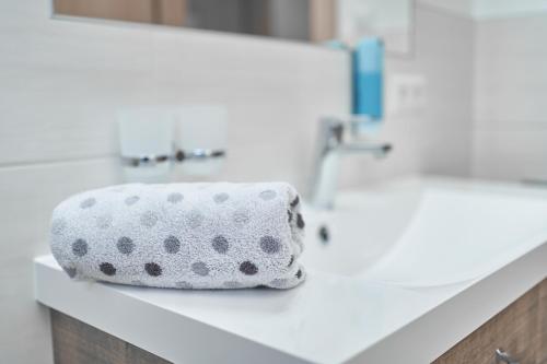 a roll of toilet paper sitting on a counter in a bathroom at Apart Anemone in Niederthai