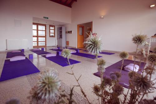 a large room with purple yoga mats in it at Retreat Centre Cyprus in Zoopiyi