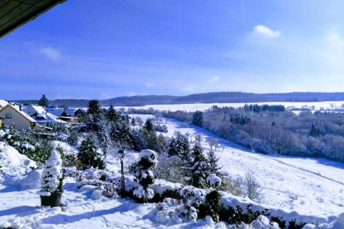 a snow covered field with trees and a house at Ferienwohnung Alpaka Blick in Schneppenbach