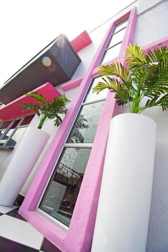a pink and white building with plants in front of it at 55 on Main Guesthouse and Spa in Fish hoek