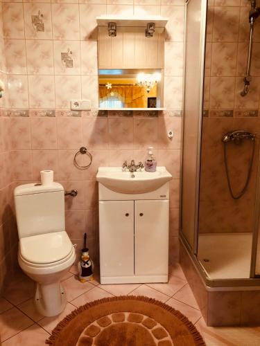 a bathroom with a toilet and a sink and a shower at Agroturystyka u Strażaka in Świeradów-Zdrój