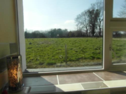 a window with a view of a field outside at Country Studio in Portarlington