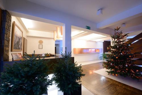 una sala de estar con dos árboles de Navidad en una habitación en Pensjonat Orla Perc, en Zakopane