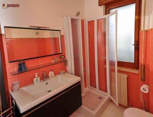 uma casa de banho com um lavatório e um chuveiro com um espelho. em Giangurgolo B&B em Rende