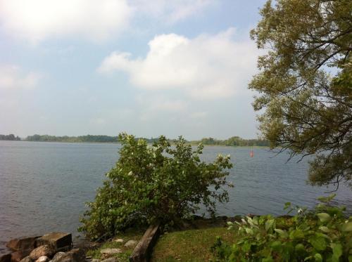 a view of a large body of water at Seymour Point Cottage in Campbellford