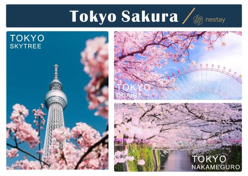 a collage of photos with the tokyo tower and cherry trees at nestay inn tokyo kagurazaka in Tokyo