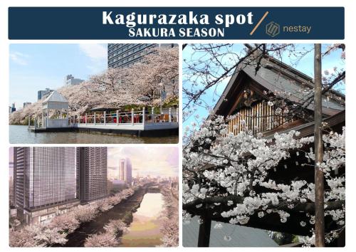 a collage of photos withakura trees and a river at nestay inn tokyo kagurazaka in Tokyo