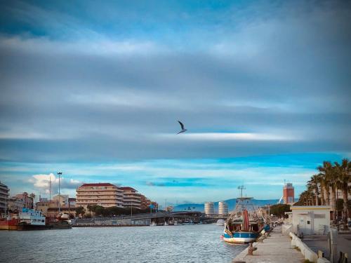 a bird flying over a river with a boat at LOFT 51 in Pescara