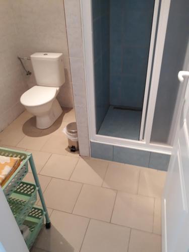 uma casa de banho com um WC e uma cabina de duche em vidro. em Penzion HORTENZIE em Úsilné