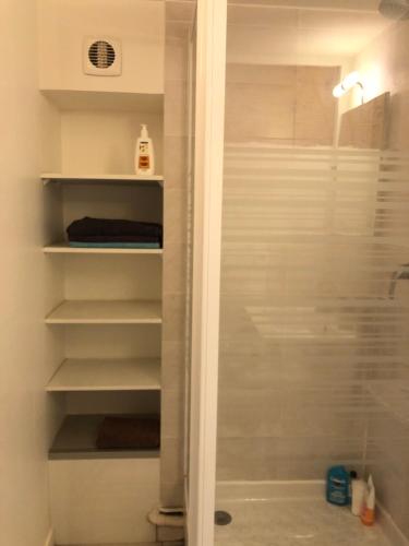 La salle de bains est pourvue d'une douche à l'italienne avec une porte vitrée. dans l'établissement Coeur Vieux Lyon, à Lyon