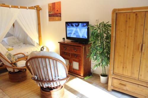 a living room with a tv on a wooden table at Villa COLIBRI in Lorgues