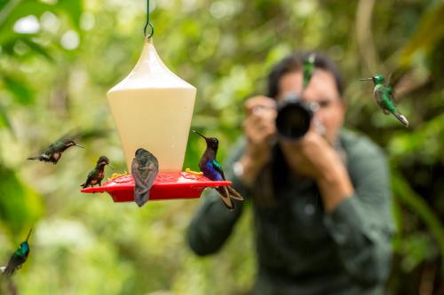 a man taking a picture of a bird on a feeder at Mashpi Lodge in Pacto