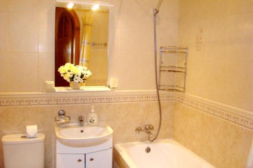 une salle de bain avec un lavabo, des toilettes et un miroir dans l'établissement Alex Apartments on Puskinskaya-Chikalenko new name, à Kiev