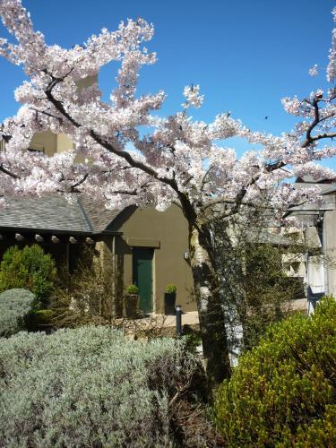 a tree with pink flowers in front of a house at Rendezvous Heritage Hotel Queenstown in Queenstown
