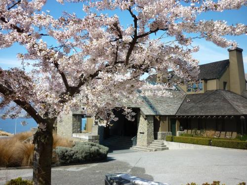 a tree with pink flowers in front of a house at Rendezvous Heritage Hotel Queenstown in Queenstown