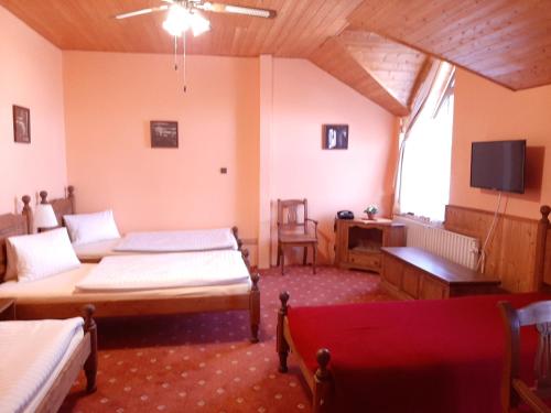 A television and/or entertainment centre at garni Hotel ASAS***