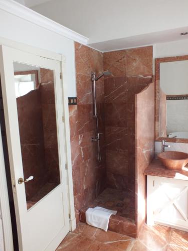 a bathroom with a shower and a sink at Casa Palacio VillaZambra in Ronda