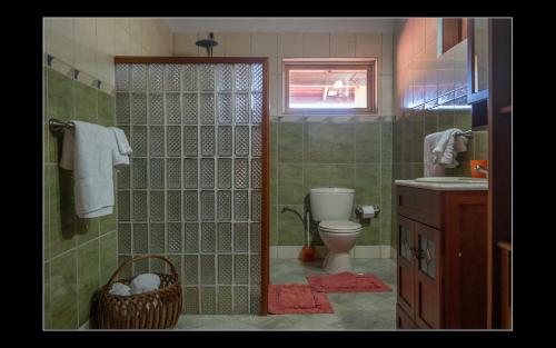 a bathroom with a shower with a toilet and a sink at Fuego Mio Bed & Breakfast in Santa Cruz