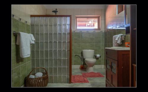 een badkamer met een douche, een toilet en een wastafel bij Fuego Mio Bed & Breakfast in Santa Cruz