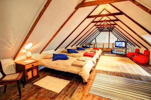 a attic room with four beds and a television at Libertas Guest Farm in Hoekwil