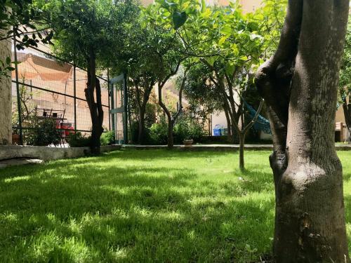 Jardín al aire libre en Boipeba Guesthouse