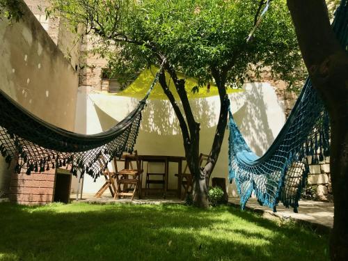 un par de hamacas colgando de los árboles en un patio en Boipeba Guesthouse, en Alghero