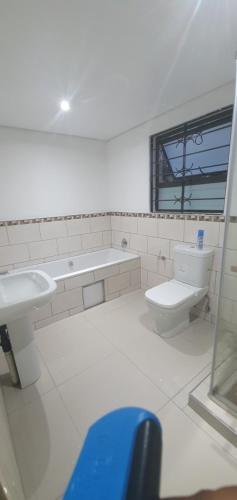 a bathroom with a sink and a toilet at Tertius Lodge And House in Nelspruit