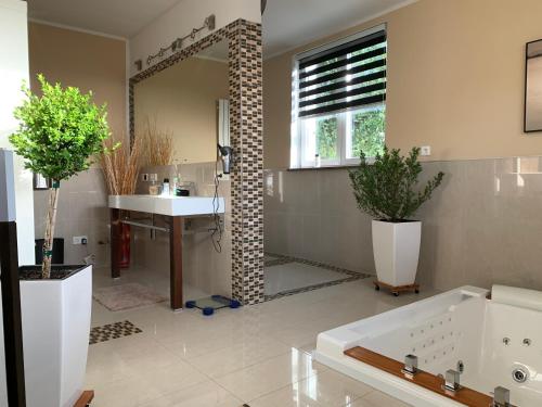 ein Bad mit einem Waschbecken und einem Spiegel in der Unterkunft Stadtvilla Intzeplatz - Apartment Rügen in Remscheid