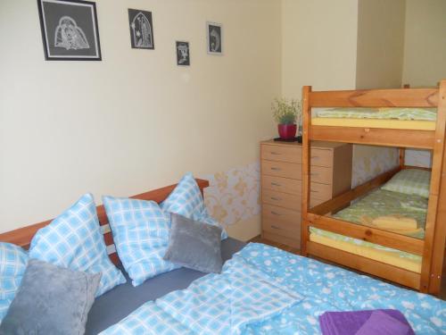 1 dormitorio con 1 cama y 1 litera en Apartmán Seč, en Seč
