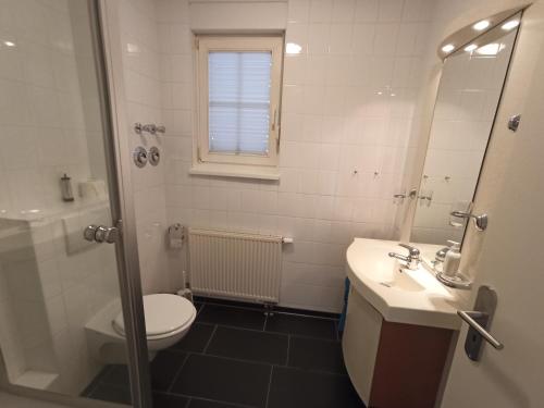 La salle de bains est pourvue de toilettes, d'un lavabo et d'une douche. dans l'établissement Ferienwohnung Rügen, à Sagard