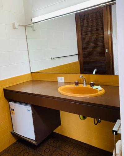 a bathroom with a sink and a mirror at Caledonian Hotel Motel in Hamilton