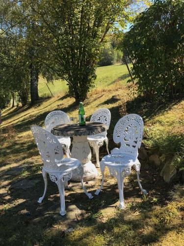 Jardin de l'établissement Ferienhaus Messern