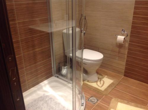W łazience znajduje się kabina prysznicowa i toaleta. w obiekcie SOPHIAS w mieście Agios Stefanos